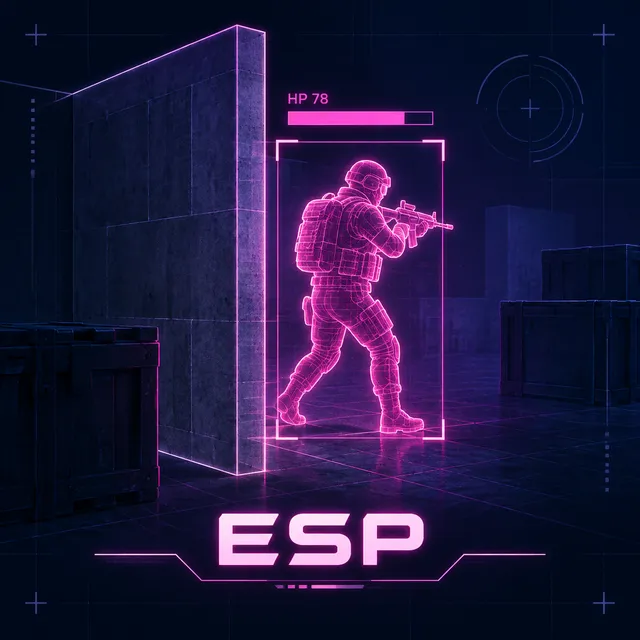ESP feature illustration: enemy outlines and distance shown through walls